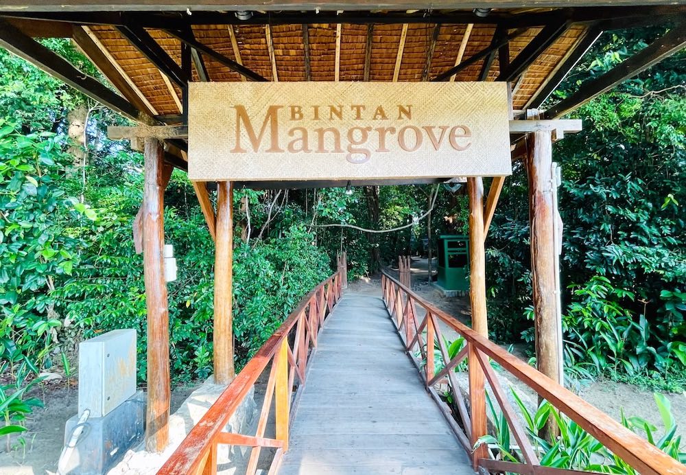 Standard Post with Image